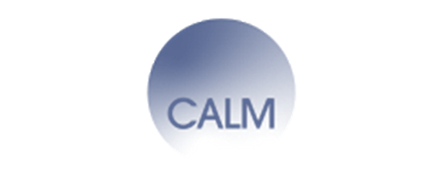 CALM: Children Achieving Lifelong Movement website