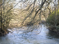 River Windrush by the Fox Inn at Great Barrington