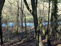 The river Windrush approaching Barrington